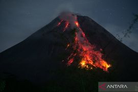 Lava pijar Gunung Merapi