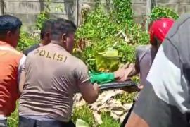 Seorang kakek selamat setelah terserempet kereta api