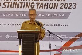 Pemprov Babel bantu pulihkan psikologis korban KDRT di Tempilang