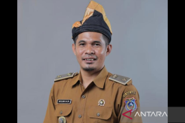 Dampak El Nino Produksi Jagung Kuning di Muna Barat Turun Drastis