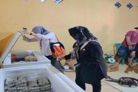 Loka POM Tanah Bumbu bina UMKM lebih kompetitif