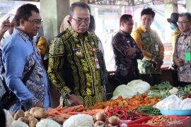 Pj Bupati Tapin pastikan bahan pokok aman jelang Natal