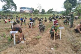 Kodim 0409 Rejang Lebong lakukan penghijauan di lahan tandus