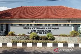 DKPP Bantul fasilitasi jual beli kambing dan domba di enam pasar kecil