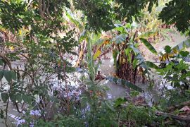 Penimbunan Kali Mati, Perumahan Vila Viyata Yudha terancam banjir