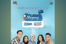 Ikuti Pengalaman Belajar sambil Bekerja Di BRILiaN Internship Program
