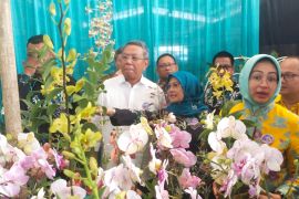 Benyamin Davnie harap pasar bunga bisa tingkatkan pendapatan petani bunga