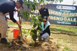Pemkab Trenggalek intensifkan gerakan tanam pohon multifungsi untuk penghijauan dan ekonomi