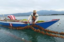 Kemenko Marves siap perkuat sinergi dukung agenda biru Indonesia
