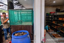 Pengolahan sampah organik secara swadaya