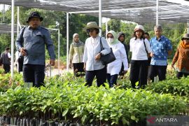 Wakil PBB tinjau pembangunan berkelanjutan di IKN