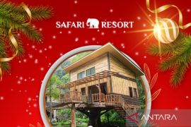Taman Safari Bogor tawarkan Paket Menginap Malam Natal