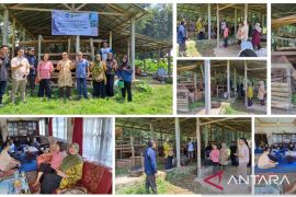 PKM Faterna, Sosialisasi Pemerahan yang Higenis di Peternakan Kerbau Murrah di Nagari Kapau, Agam