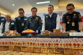 Bea Cukai Soetta gagalkan penyelundupan sisik trenggiling dan obat ilegal