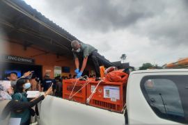 Repatriasi tiga individu orang utan Indonesia dari Thailand tiba di Jambi