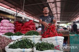 Pasokan melimpah, Harga cabai merah di pasar Lambaro turun jadi Rp25 ribu per kg