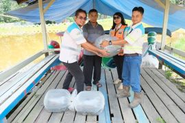 Adaro salurkan 1.500 bibit ikan Nila untuk Taman Menanti Laburan