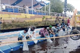 Tercemar pupuk sawit dan limbah rumah tangga, kualitas Sungai Siak jauh menurun