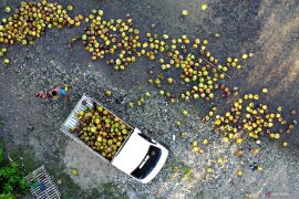 Mengenal peribahasa Jawa "Bathok Bolu Isi Madu"