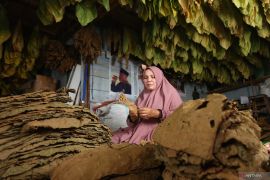 Kenapa Pengusaha ritel tolak aturan zonasi penjualan produk tembakau?