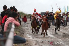 Warisan budaya pacuan kuda tradisional suku Gayo