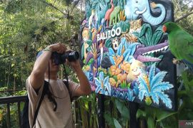 Bali Zoo catat pengunjung hingga 2.500 per hari