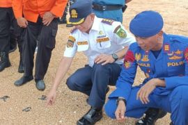 150 ekor anak penyu dilepaskan di Pulau Jemur