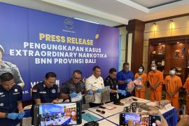 BNNP Bali ungkap banyak kasus peredaran ganja sepanjang 2023
