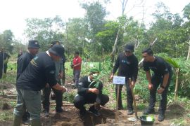 Pj Gubernur Babel minta PWI ikut berpartisipasi tanam satu juta pohon