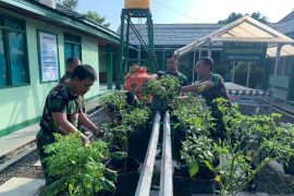 Kodim 1001/HSU-BLG manfaatkan lahan sempit untuk tanam sayuran