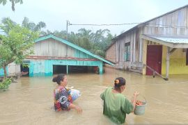 BPBD: Banjir rendam tujuh desa di Labuhanbatu Selatan