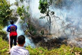 49 titik panas di Kalimantan Timur masih terdeteksi