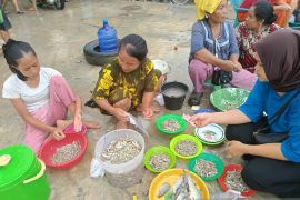 Berkah banjir Sungai Barumun, warga jual ikan Seluang