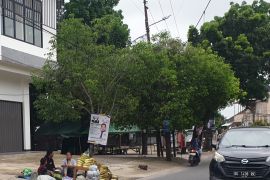 Pedagang jagung dan arang di Palembang naik omset