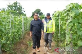 Komitmen Kaltim lepas ketergantungan dari batu bara dan migas