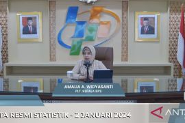 NTP naik menjadi 117,76 berkat kenaikan harga terima tani