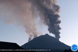 1.172 warga Wulanggitang NTT mengungsi, terdampak erupsi Lewotobi