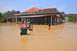 Banjir di Kabupaten Grobogan Page 1 Small