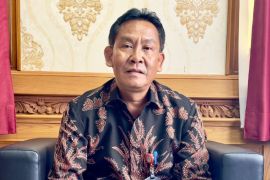 Pemkab Badung terapkan sewa kendaraan dinas untuk efisiensi anggaran