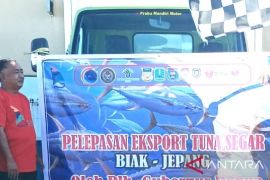 Biak ekspor ikan tuna segar 7 ton ke Jepang