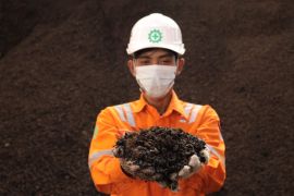 PLN: teknologi "co-firing" mampu tekan 1,05 juta ton CO2 emisi karbon