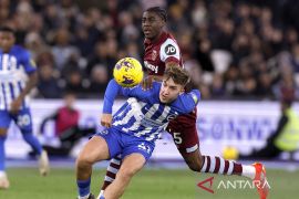 Liverpool tumbang di markas Brighton & Hove Albion