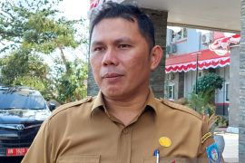 Pemkab Bangka Selatan dorong pertumbuhan ekonomi kreatif