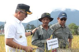 Pemerintah Kota Singkawang gencarkan penggunaan pupuk organik