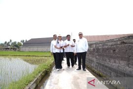 Bupati Gianyar awasi program padat karya Kemnaker