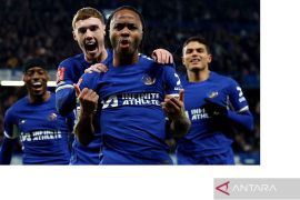 Fulham mempertimbangkan boyong Raheem Sterling dari Chelsea