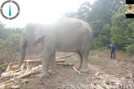 TWA Buluh Cina tutup sementara lantaran banjir
