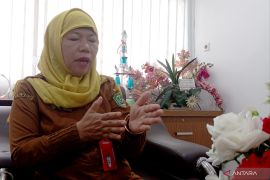 DPMPTSP: Realisasi investasi Tapin Rp1,3 triliun