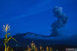 Bupati Tanah Datar imbau warga radius 4,5 km dari Marapi agar waspada