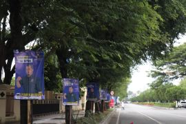 Pemasangan APK caleg di pohon masih marak di Aceh, ini dampaknya ke lingkungan